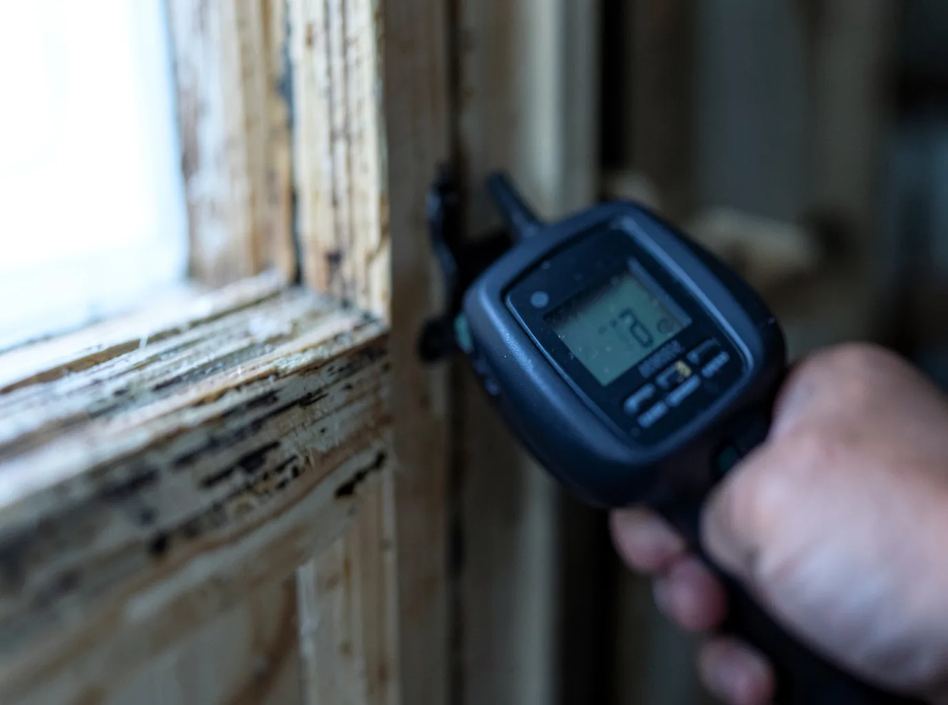 Moisture Inspection And Documentation in Prairie Creek, IN
